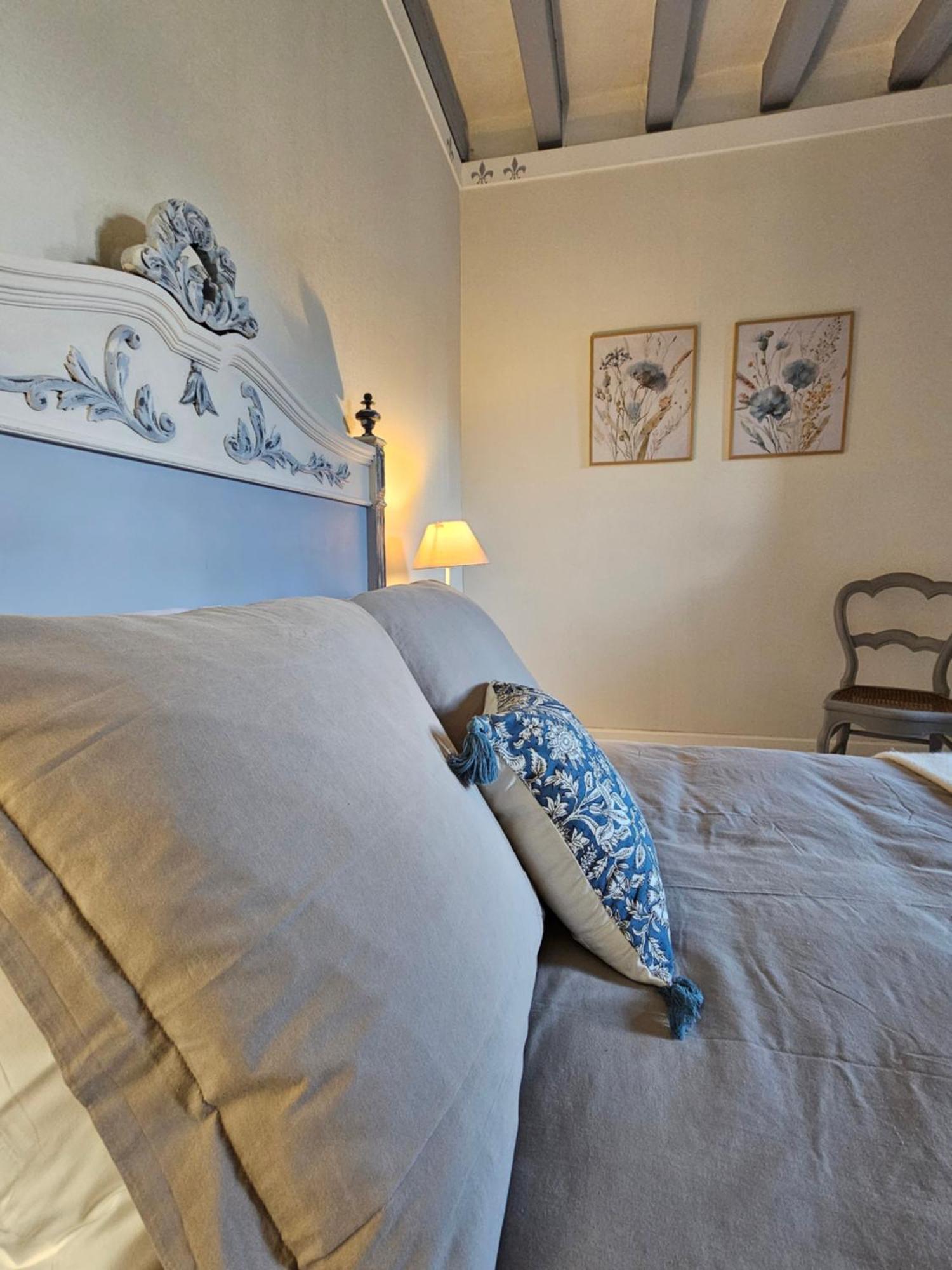 Regard Sur Le Chateau Saint-Aignan  Esterno foto